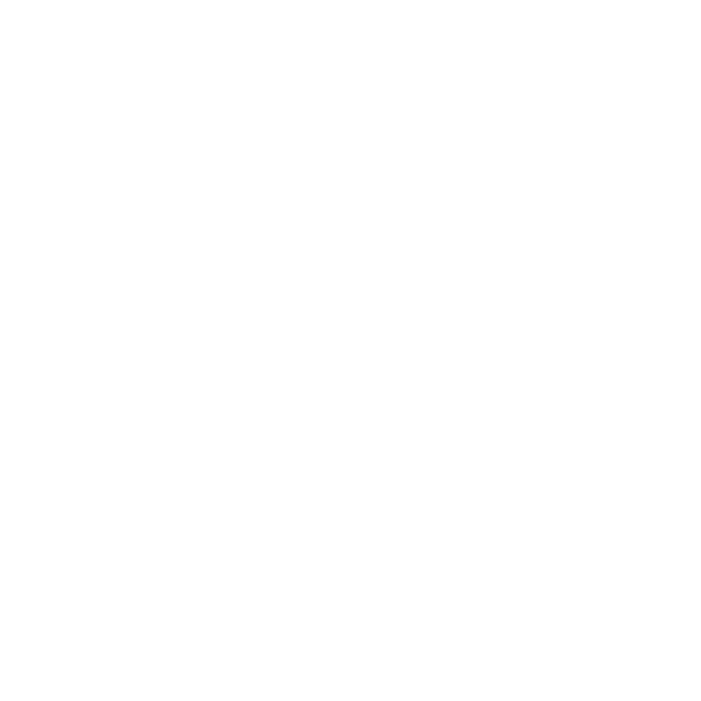 Best Director — Indus Film Festival 2025