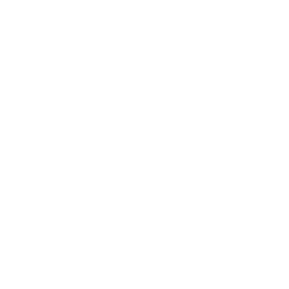 Official Selection — Egyptian American Film Festival 2025