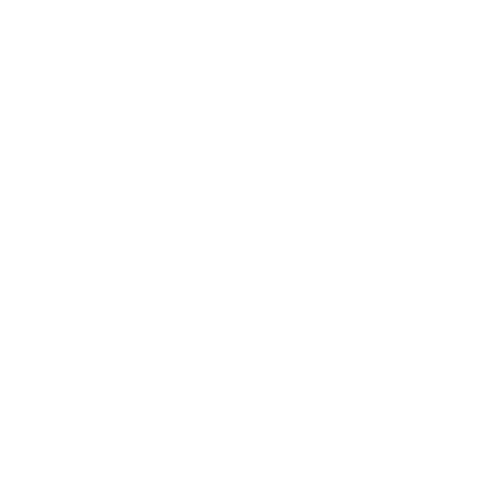Official Selection — Festival cortos para Tiempos Largos 2025