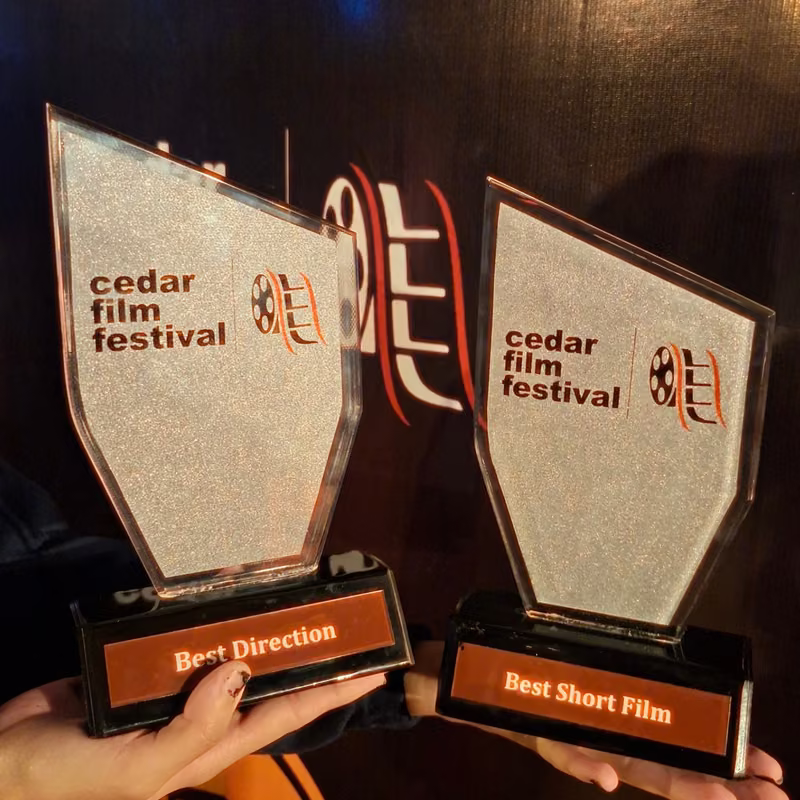 Best Direction & Best Short Film — Two trophies home